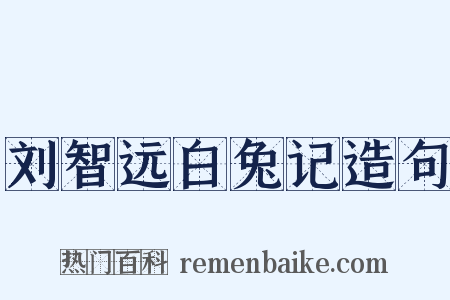 刘智远白兔记造句是什么意思的图片